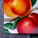 Garten-Poster – wetterfest 4