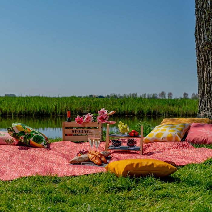 Picknickdecke / Fleecedecke mit Druck 2