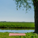 Picknickdecke / Fleecedecke mit Druck 4
