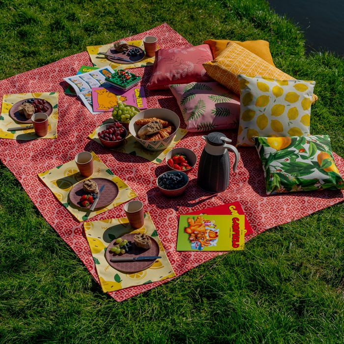 [MK-PDEC] Picknickdecke / Fleecedecke mit Druck